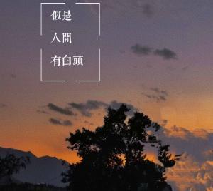 似是人间有白头_不陈著_长佩文学网