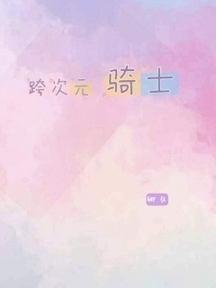 跨次元骑士