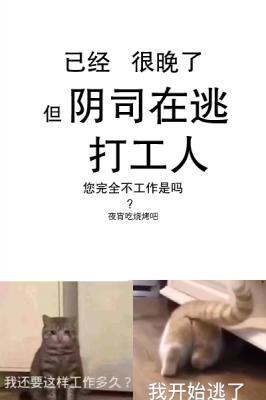 阴司在逃打工人作品封面