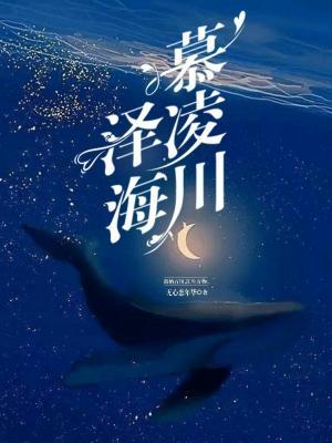 泽海慕凌川作品封面