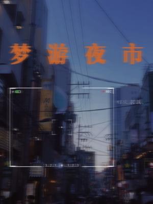 梦游夜市