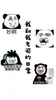 我和我老闺的日常作品封面