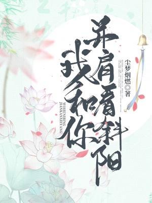 我和你并肩看斜阳作品封面