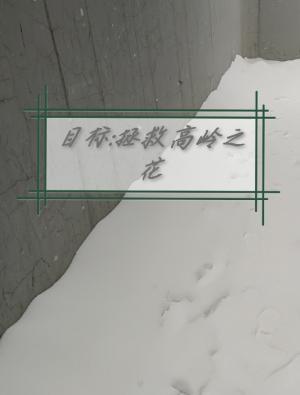 目标:拯救高岭之花作品封面