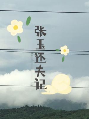 张玉还夫记