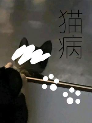 猫病作品封面