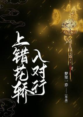 上错花轿入对行作品封面