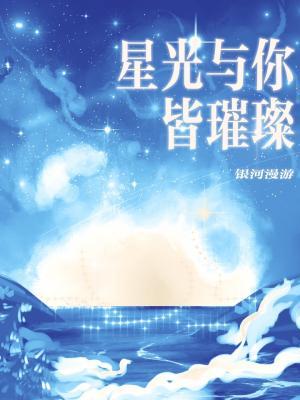 星光与你皆璀璨作品封面