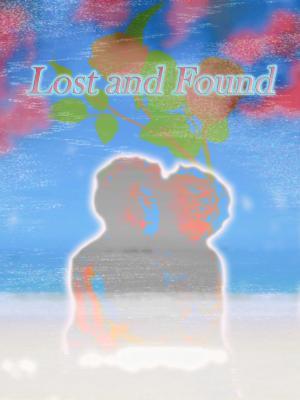Lost and Found作品封面