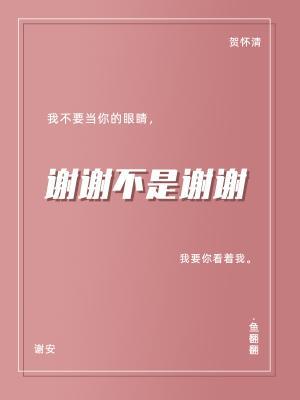 谢谢不是谢谢作品封面