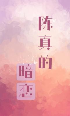 陈真的暗恋