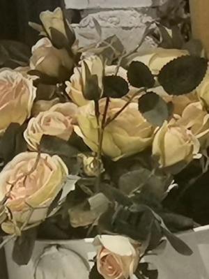皮肤亲近综合症