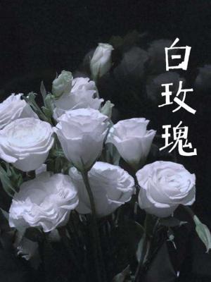 白玫瑰作品封面