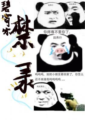 碧霄宗禁录作品封面