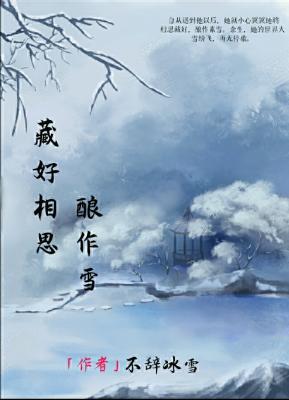 藏好相思酿作雪作品封面