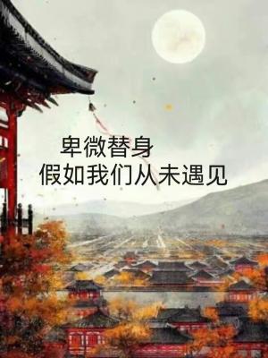 卑微替身，假如我们从未遇见作品封面