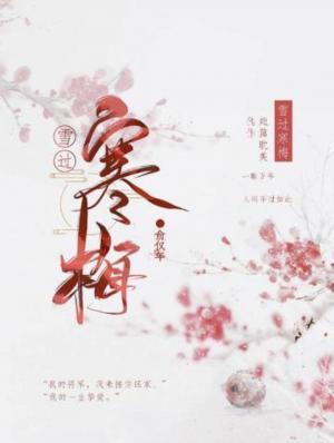 雪过寒梅