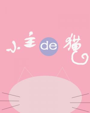 小主的猫作品封面