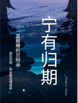 宁有归期