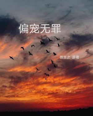 偏宠无罪作品封面