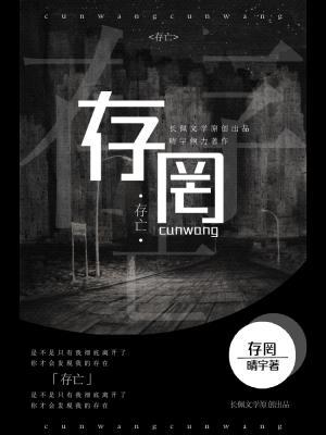 存罔作品封面