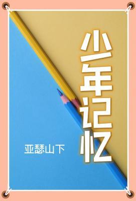 少年记忆作品封面