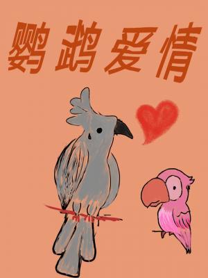 鹦鹉爱情作品封面