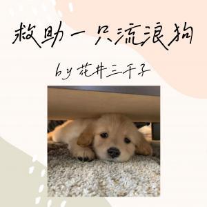 【GB】救助一只流浪狗作品封面