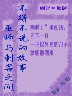 巫师与刺客之间不得不说的故事作品封面