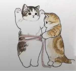 胆小的公主