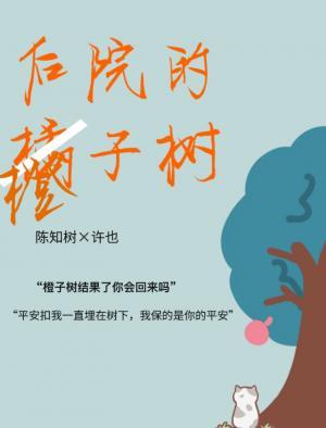 后院的橙子树作品封面