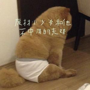 废材小少爷和他不中用的夫婿