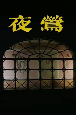 夜莺作品封面