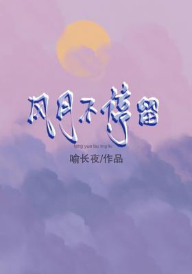 风月不停留作品封面