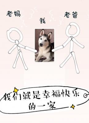 快说，谢谢哈士奇