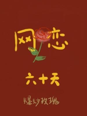 网恋六十天作品封面