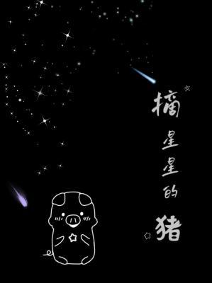 摘星星的猪作品封面