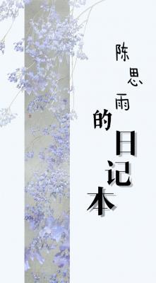 陈思雨的日记本作品封面