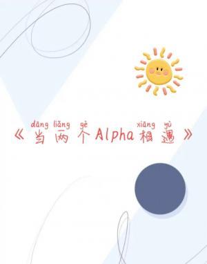 《两个Alpha相遇》作品封面