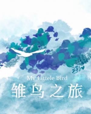 雏鸟之旅