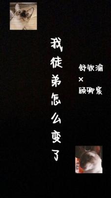 我徒弟怎么变了作品封面