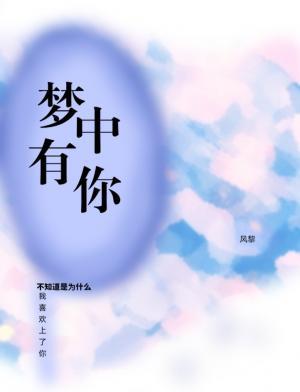 梦中有你作品封面