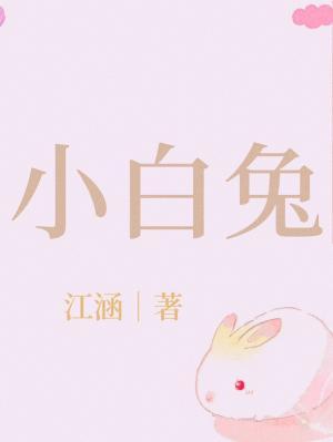 小白兔作品封面