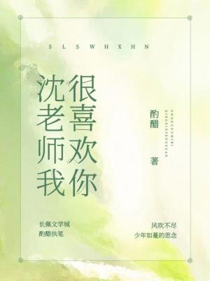 沈老师，我很喜欢你作品封面