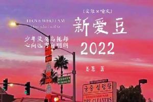 新爱豆2022作品封面