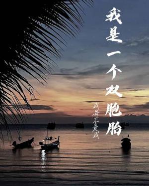我是一个双胞胎