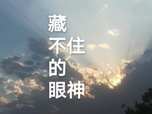 藏不住的眼神作品封面