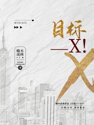 目标——X！作品封面