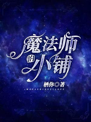 魔法师的小铺作品封面