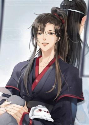 穿越魔道祖师作品封面